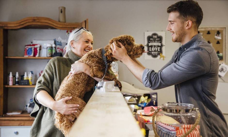 Entrepreneurs Who Want to Break into the Pet Sector